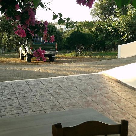 Theofilos Appartements Livadi  ห้อง รูปภาพ