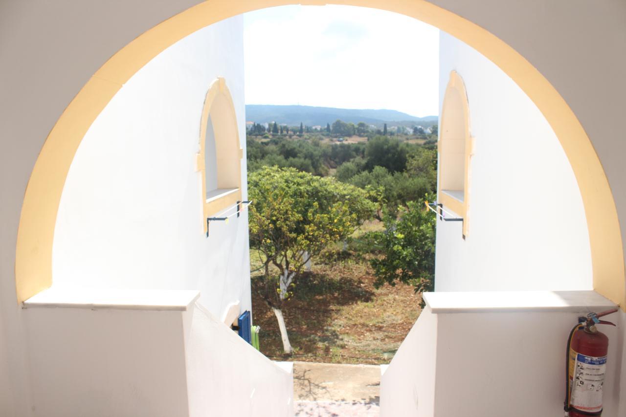 Theofilos Appartements Livadi  ภายนอก รูปภาพ