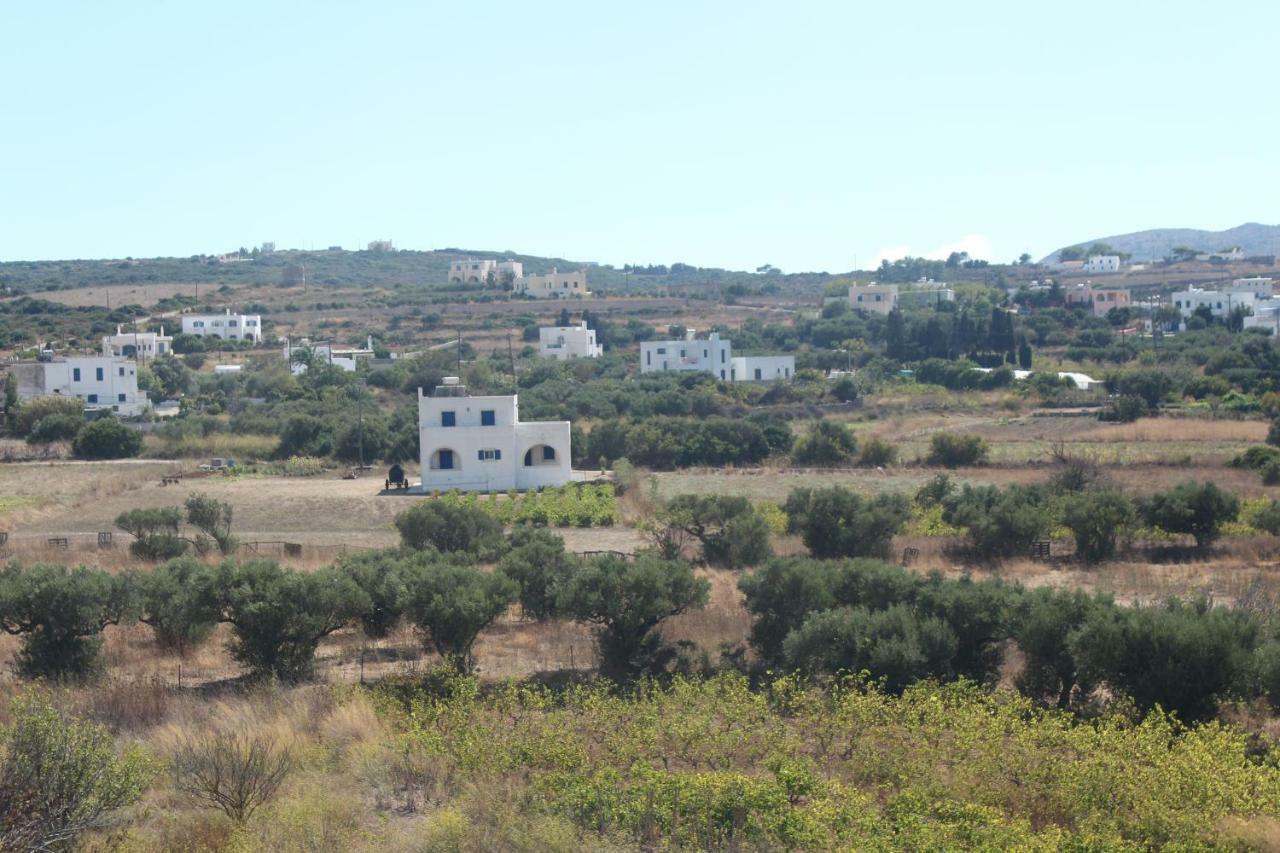 Theofilos Appartements Livadi  ภายนอก รูปภาพ